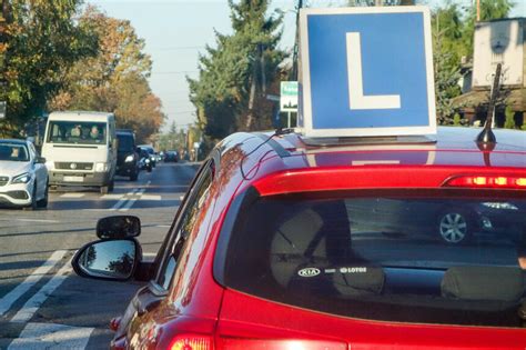  Pikantne Maślane Krewetki z Ziyang – Czy Zdasz Egzamin Smaku w Chinach?